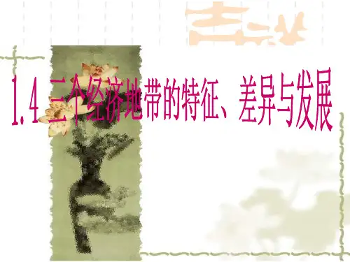 高二地理课件 三个经济地带的特征、差异与发展