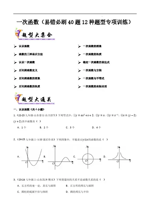 一次函数(考题猜想,易错必刷40题12种题型)(原卷版)—八年级数学上学期期中(沪科版)
