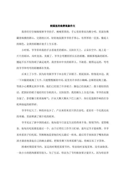 校园里的浪费现象作文