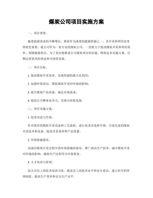 煤炭公司项目实施方案