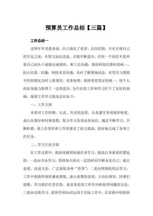 2020年预算员工作总结3篇例文(完美版)
