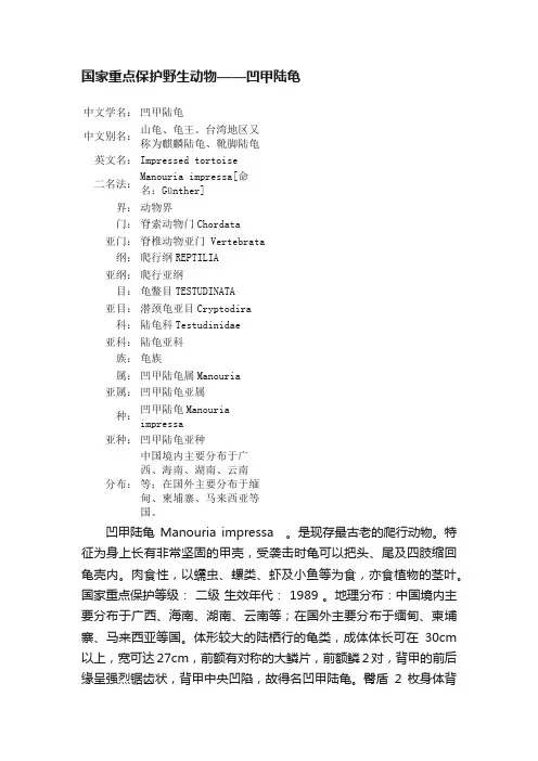 国家重点保护野生动物——凹甲陆龟