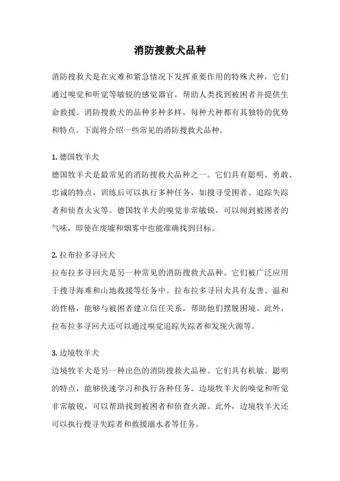 消防搜救犬品种