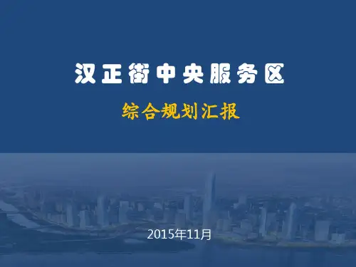 汉正街规划汇总汇报