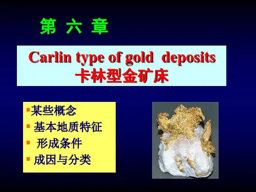 第六章 卡林型金矿