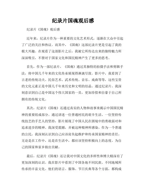 纪录片国魂观后感