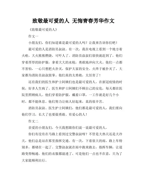致敬最可爱的人 无悔青春芳华作文