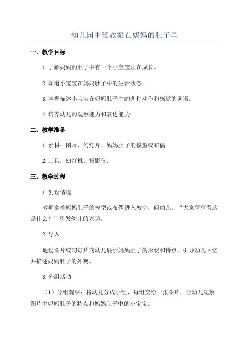 幼儿园中班教案在妈妈的肚子里