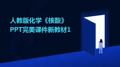 2024人教版化学《核酸》PPT完美课件新教材1