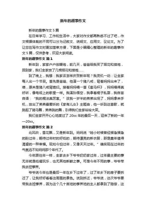新年的趣事作文5篇