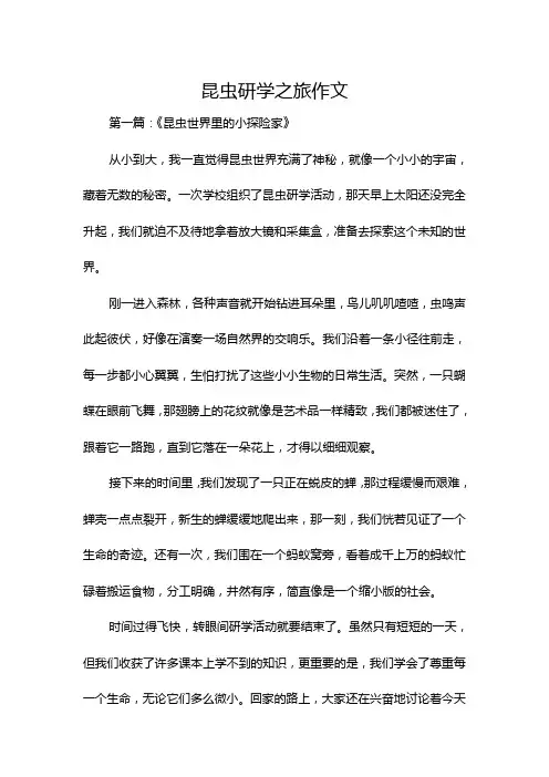 昆虫研学之旅作文