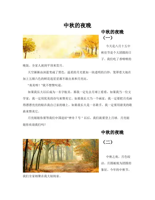中秋的夜晚(共10篇)