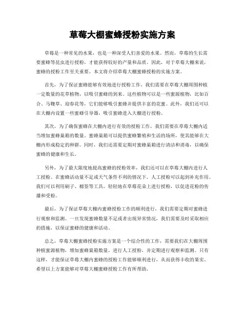 草莓大棚蜜蜂授粉实施方案