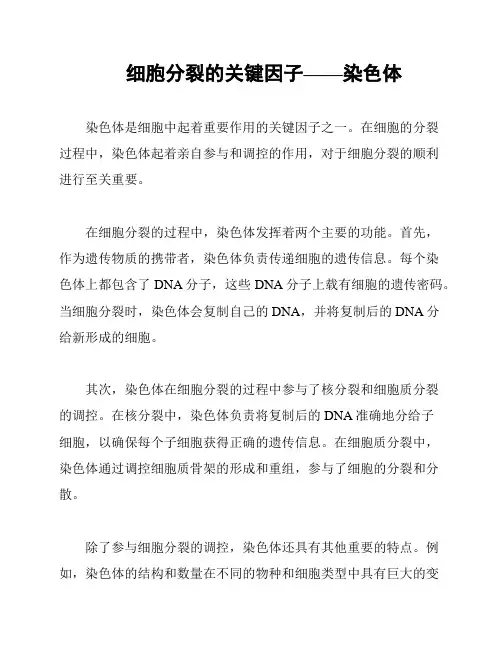 细胞分裂的关键因子——染色体