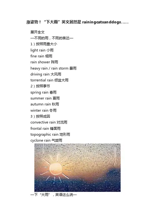 涨姿势！“下大雨”英文居然是rainingcatsanddogs……