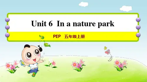人教PEP版小学英语五年级上册第六单元《Unit6 In a nature park》单元复习课件PPT