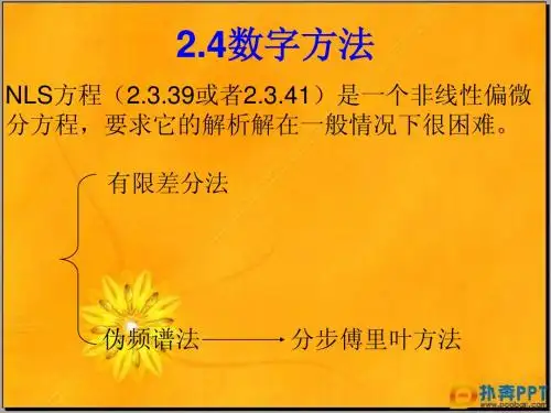 非线性光学2.4