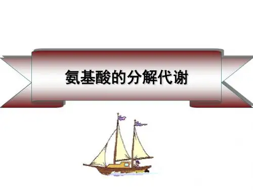 蛋白质降解和氨基酸分解代谢