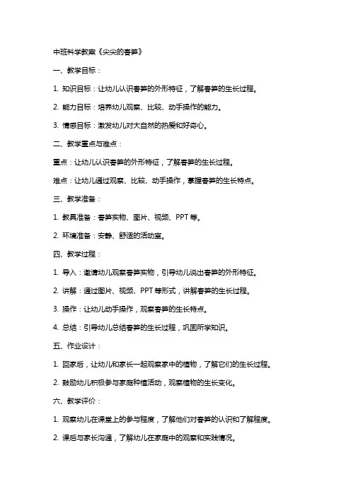 中班科学教案《尖尖的春笋》