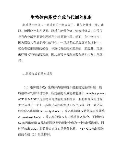 生物体内脂质合成与代谢的机制