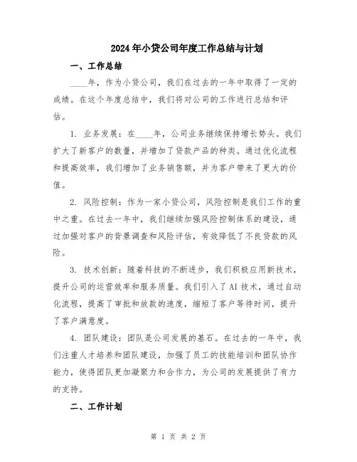 2024年小贷公司年度工作总结与计划