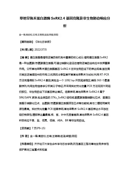 草地早熟禾蛋白激酶SnRK2.4基因克隆及非生物胁迫响应分析