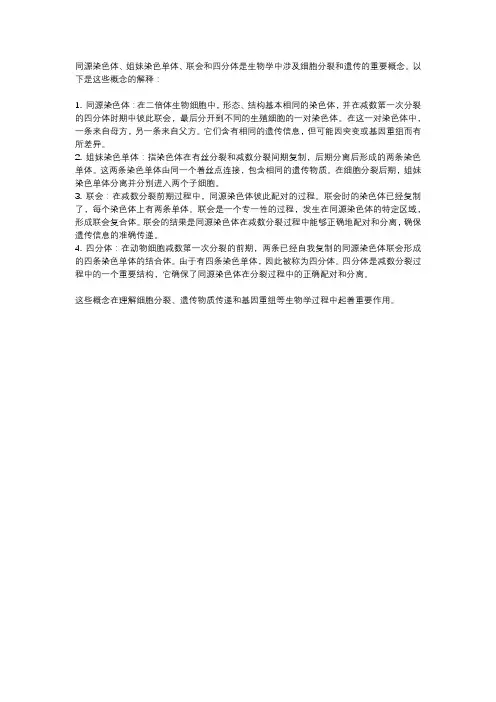 同源染色体,姐妹染色单体,联会,四分体的概念