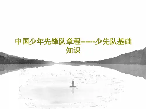 中国少年先锋队章程------少先队基础知识29页PPT
