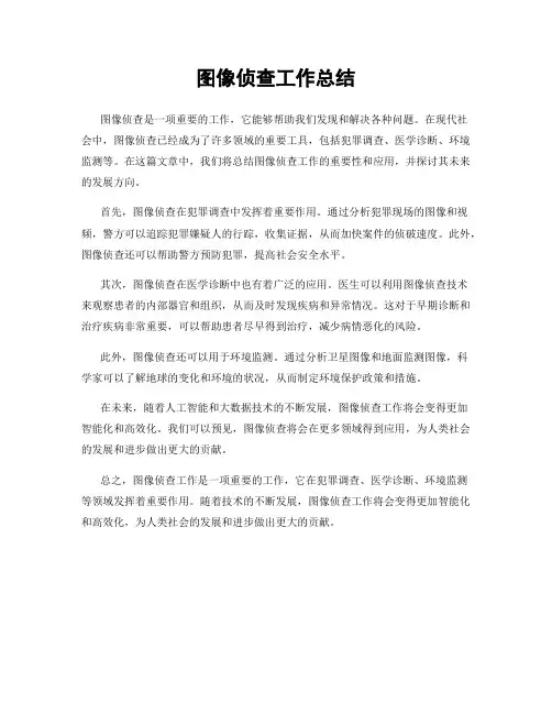 图像侦查工作总结