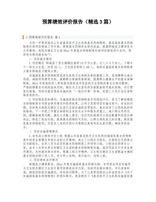 预算绩效评价报告(精选3篇)