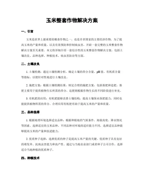 玉米整套作物解决方案