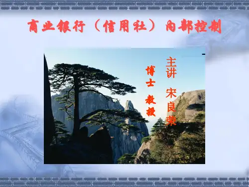 商业银行(信用社)内部控制(PPT 133页)-AD版预算控制