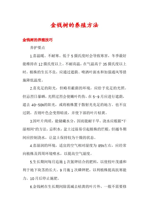金钱树的养殖方法