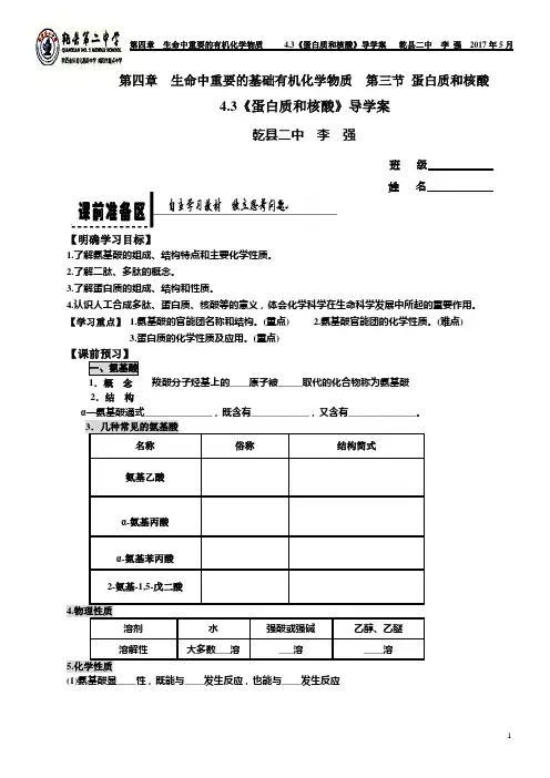 4.3《蛋白质和核酸》导学案