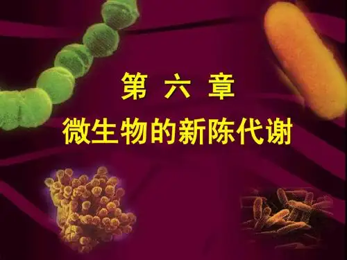 第六章微生物代谢