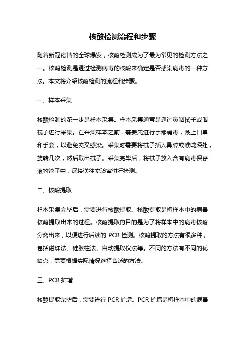 核酸检测流程和步骤