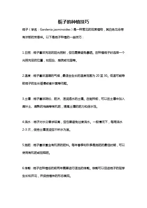 栀子的种植技巧