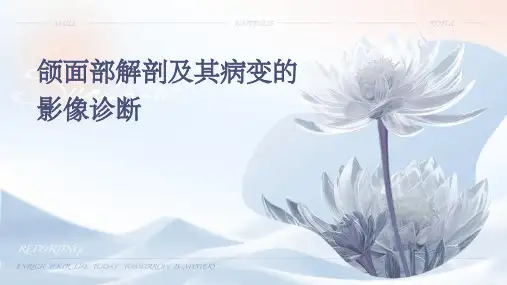 颌面部解剖及其病变的影像诊断