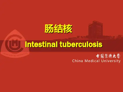 肠结核-精品医学课件