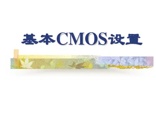 计算机知识-基本CMOS设置