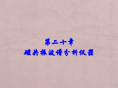 磁共振波谱ppt课件