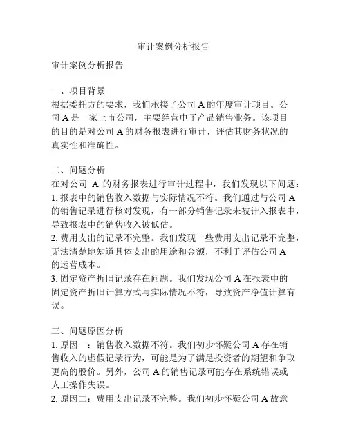 审计案例分析报告