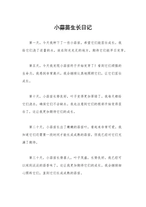小蒜苗生长日记