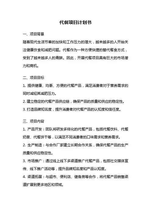 代餐项目计划书