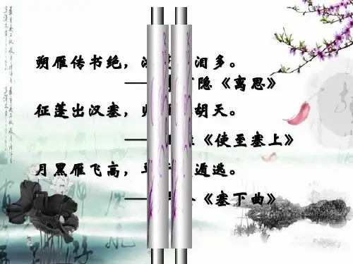 大雁归来(完美版)ppt