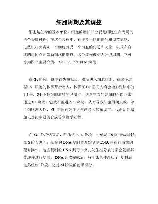 细胞周期及其调控