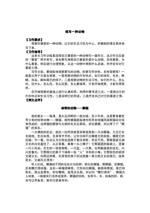六年级下册语文讲义-作文指导：描写一种动物 全国通用