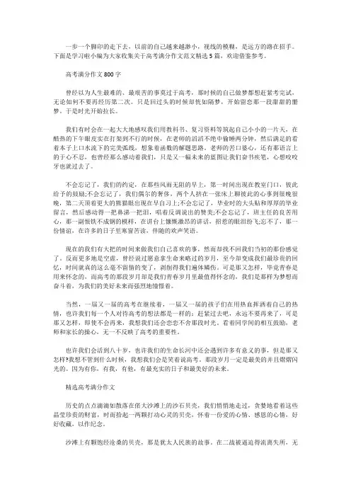 2019全国高考满分作文800字,高考满分作文范文精选5篇
