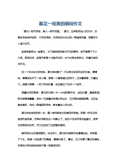昙花一现美的瞬间作文