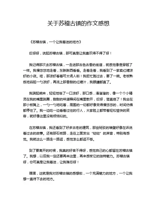 关于苏稽古镇的作文感想
